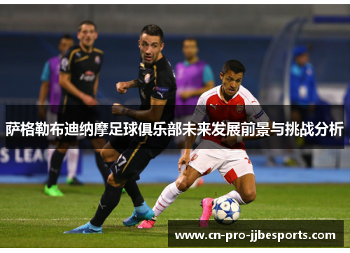 萨格勒布迪纳摩足球俱乐部未来发展前景与挑战分析