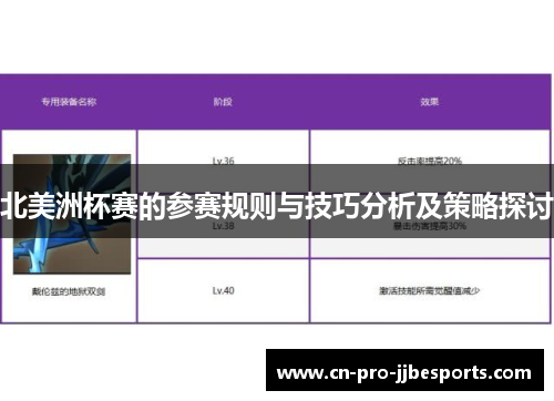 北美洲杯赛的参赛规则与技巧分析及策略探讨