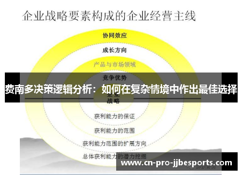 费南多决策逻辑分析：如何在复杂情境中作出最佳选择