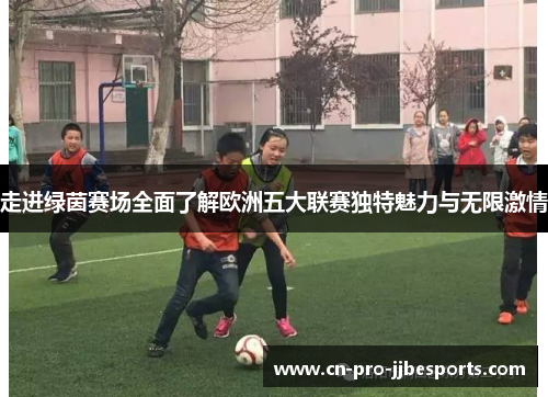 走进绿茵赛场全面了解欧洲五大联赛独特魅力与无限激情