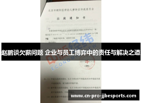 赵鹏谈欠薪问题 企业与员工博弈中的责任与解决之道