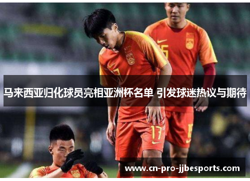 马来西亚归化球员亮相亚洲杯名单 引发球迷热议与期待