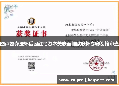 图卢兹夺法杯后因红鸟资本关联面临欧联杯参赛资格审查 图卢兹夺法杯后因红鸟资本关联面临欧联杯参赛资格审查